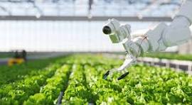 Agro processing facility